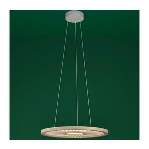 Eglo 390297 - LED Dimmelhető csillár zsinóron DEHESA LED/36W/230V 4000K 390297 kép