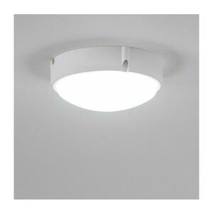 BRILAGI - LED Mennyezeti ipari lámpa SIMA LED/12W/230V IP65 fehér PD-S20124-10 kép