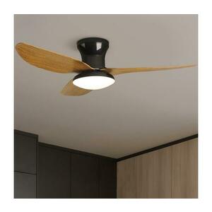 BRILAGI-LED állítható mennyezeti látor LED/30W/230V 3000-6500K fekete/barna WF-OSD-009-BKW kép