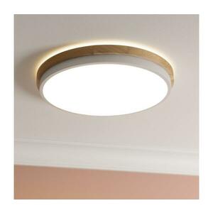 Brilliant - LED Dimmelhető mennyezeti lámpa BAARLO LED/24W/230V átm. 35 cm fehér G80845/75 kép