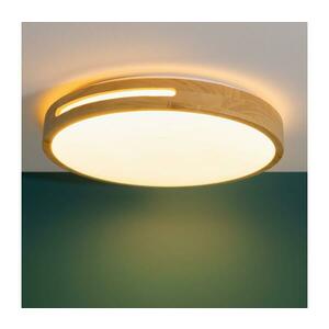 Brilliant - LED Dimmelhető mennyezeti lámpa WOODBURY LED/24W/230V átm. 39 cm G99496/75 kép