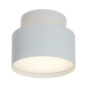 Rabalux 71324 - OVIDIA mennyezeti LED lámpa LED/16W/230V 3000K fehér 71324 kép