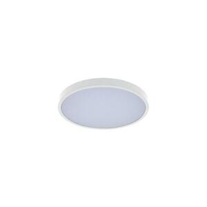 Rabalux 71427 - LED Fürdőszobai mennyezeti lámpa ALENZO LED/24W/230V IP44 fehér 71427 kép