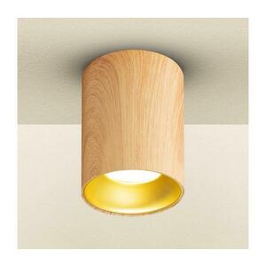 BRILAGI - Spotlámpa TRINE 1xGU10/30W/230V tölgy dekor WD305-WOOD-OEM kép