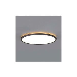 NIVERA LED 12W 230V IP54 fürdőszobai mennyezeti lámpa, 22, 5 cm, fekete 004087 kép