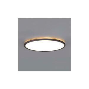 NIVERA LED 32W 230V IP54 fürdőszobai mennyezeti lámpa, 42 cm, fekete 004093 kép