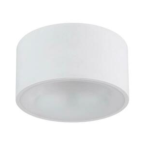Globo 56964W - LED mennyezeti lámpa RAYMOND LED/12W/230V 3000K átm. 15 cm fehér 56964W kép