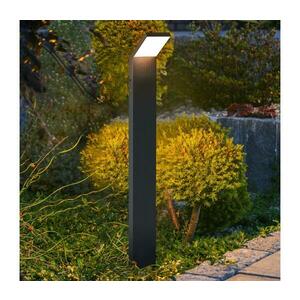BRILAGI - LED kültéri lámpa RIANO LED/8W/230V antracit IP65 80 cm WO-HR60142-800-OEM-ANT kép