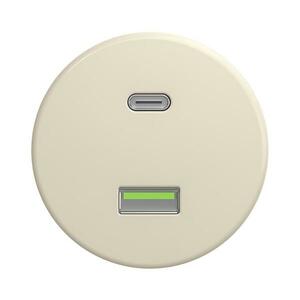 lap - Retro USB aljzat A+C keret nélküli bézs B/USB kép