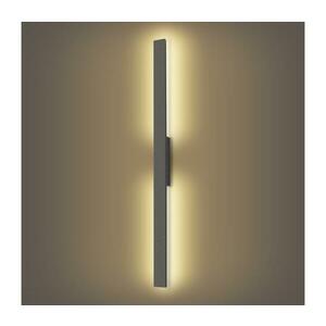 Brilagi - LED kültéri fali lámpatest LUNA LED/24W/230V 3000K IP65 antracit BRI268 kép