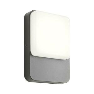 Redo 90130 - LED kültéri fali lámpa COLIN LED/9W/230V 4000K IP54 antracit 90130 kép