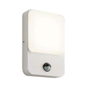 Redo 90132 - LED kültéri fali lámpatest COLIN LED/9W/230V 4000K IP54 fehér 90132 kép