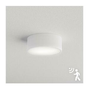 BRILAGI - CLARE mennyezeti lámpa érzékelővel 1xE27/40W/230V, átmérő 20 cm, fehér 8590828003793 kép