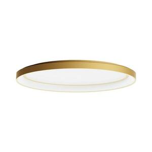 Redo 01-3807 - Dimmelhető mennyezeti lámpatest NOBU LED/60W/230V aranyszínű 01-3807 kép
