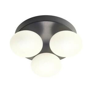 Redo 01-4308 - OVUM LED fürdőszobai mennyezeti lámpa 3xLED/5W/230V IP44 fekete 01-4308 kép