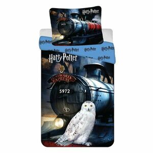 Egyszemélyes pamut gyerek ágyneműhuzat 140x200 cm Harry Potter "Hogwarts Express" – Jerry Fabrics kép