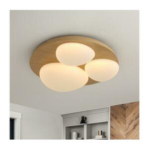 BRILAGI - VISBY WOOD LED mennyezeti lámpatest LED/36W/230V átmérő 50 cm barna BRI467 kép