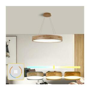 BRILAGI -LED függőlámpa kábellel FALCON WOOD LED/40W/230V 3000/4000/6000K 60 cm fa BRI534 kép