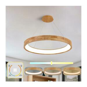 BRILAGI - FALCON WOOD MODERN kábeles LED csillár, 60W, 230V, Ø 80 cm, fa BRI554 kép