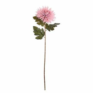 FLORISTA krizantém, rózsaszín 73cm kép