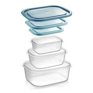 Tescoma 4FOOD Tároló dobozok fagyasztóba, 3 db, 0.5; 1.0; 2.0 l kép