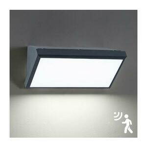 BRILAGI - LED kültéri fali lámpatest érzékelővel TRIANGLE LED/20W/230V antracit BRI069 kép