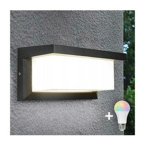 LED RGBW dimmelhető kültéri fali lámpatest NEELY 1xE27/9W/230V IP54 antracit BW0296+AI0819 kép