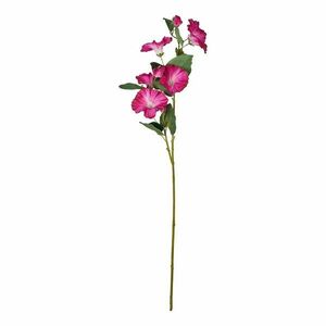 FLORISTA hajnalpír 76cm , meggypiros kép