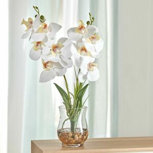 Orchidea üvegben kép