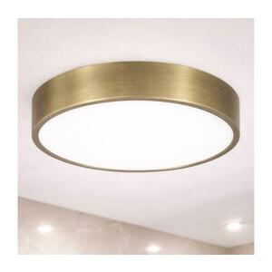 BRILAGI - POOL LED fürdőszobai mennyezeti lámpa, 36 W, 230 V, Ø 40 cm, IP54, sárgaréz FG-R400-36W-AB kép