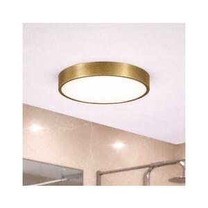 BRILAGI - POOL LED fürdőszobai mennyezeti lámpa, 24 W / 230 V, átm. 30 cm, IP54, sárgaréz FG-R300-24W-AB kép