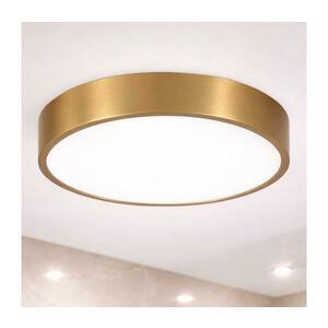 BRILAGI - LED fürdőszobai mennyezeti lámpatest POOL LED/36W/230V átm. 40 cm IP54 bronz FG-R400-36W-BR kép