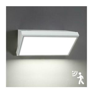 Brilagi-LED kültéri fali lámpa érzékelővel TRIANGLE LED/20W/230V fehér IP65 BRI198 kép