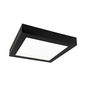 Greenlux LED Mennyezeti lámpa FENIX LED/12W/230V 2800K 17 cm kép