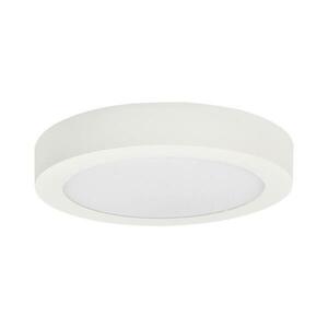 Greenlux LED Mennyezeti lámpa FENIX LED/12W/230V 3800K átm. 17 cm hó fehér kép