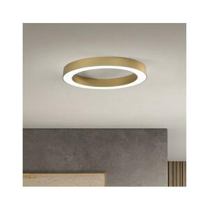 Ondaluce - LED dimmelhető mennyezeti lámpatest GLOBUS LED/40W/230V Ø 60 cm arany OTPL0009BG kép
