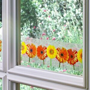20 gerbera légycsapó kép