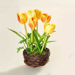 Tulip Nest Eldo kép