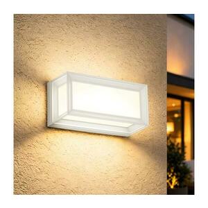 BRILAGI - LED kültéri fali lámpatest PARKER LED/12W/230V 3000/4500/6000K fehér IP44 BRI882 kép
