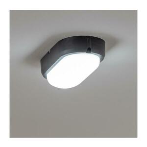 BRILAGI - LED Mennyezeti ipari lámpa SIMA LED/12W/230V IP65 fekete PD-S30124-00 kép
