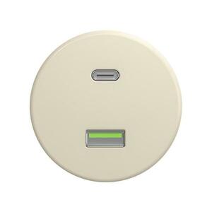 Reblig - Retro keret nélküli USB aljzat A+C, bézs B/USB kép