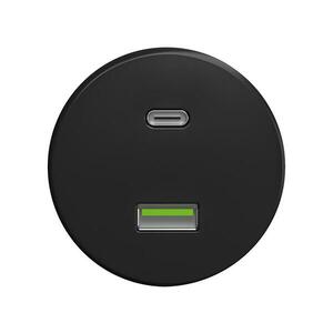 Reblig - Retro USB-aljzat A+C keret nélküli fekete C/USB kép