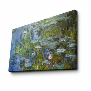 70100monet016 kép