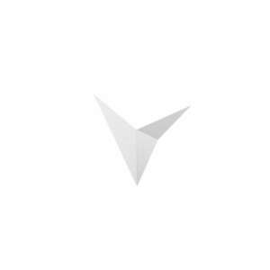 Bird - 3202 kép