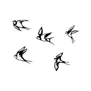 Swallows - 303 kép