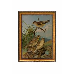 Wallity Decorative Framed Canvas Painting Multicolor ATCRCVCNVSMD... kép
