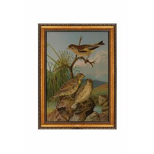 Wallity Decorative Framed Canvas Painting Multicolor ATCRCVCNVSMD... kép