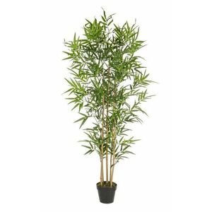 BAMBOO II zöld műanyag művirág kép