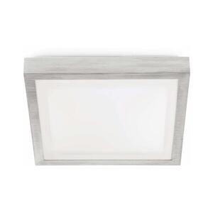 FARO Barcelona FARO 62983 - Mennyezeti lámpa TOLA 1 1xE27/20W/230V 62983 kép