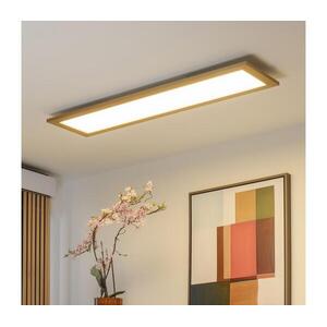 BRILAGI - dimmelhető LED lámpatest SLIMFRAME WOOD LED/58W/230V 124x34 cm + távirányító BG1548+EG99424 kép